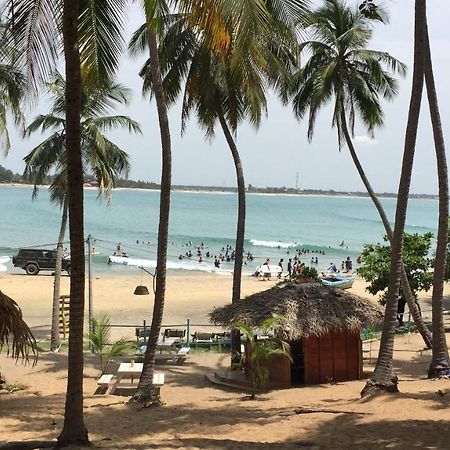 Ocean Vibe Hotel Arugam Bay Exterior foto